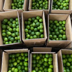Alternative view of Vietnam Seedless Limes